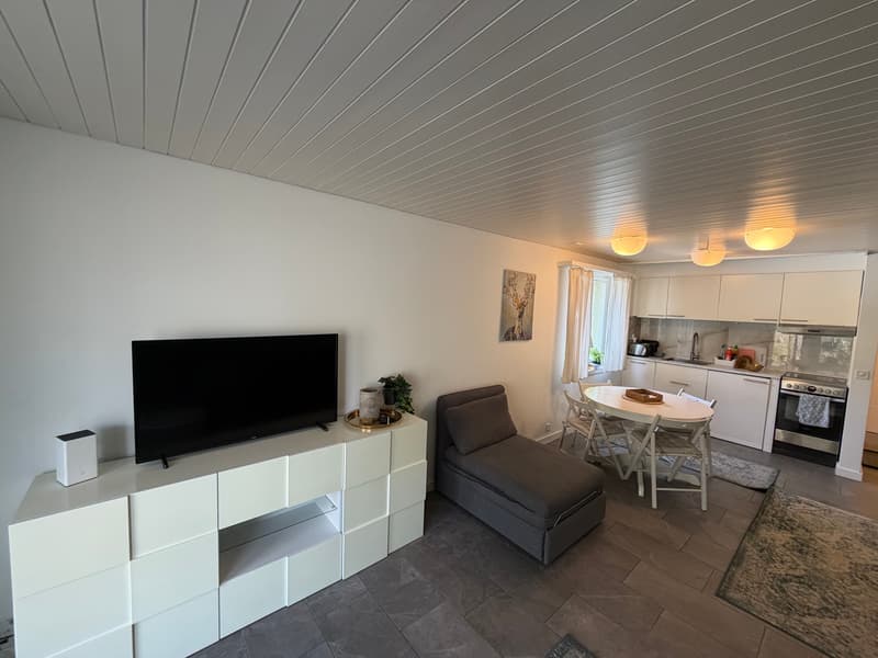 Charmant appartement 2.5 pièces avec vue de rêve à Beatenberg (9)