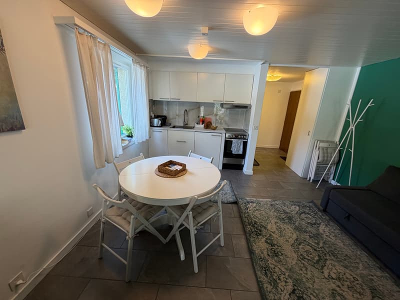 Charmant appartement 2.5 pièces avec vue de rêve à Beatenberg (10)