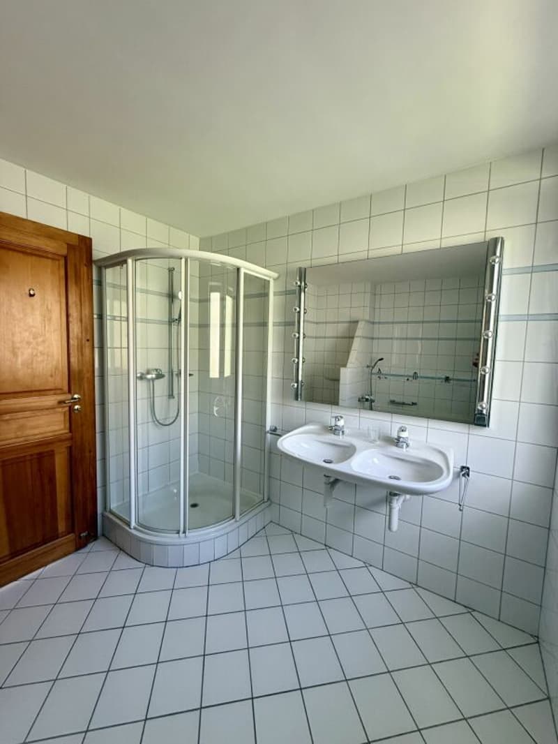 Une opportunité rare qui se présente : Appartement de 4,5 pièces (6)