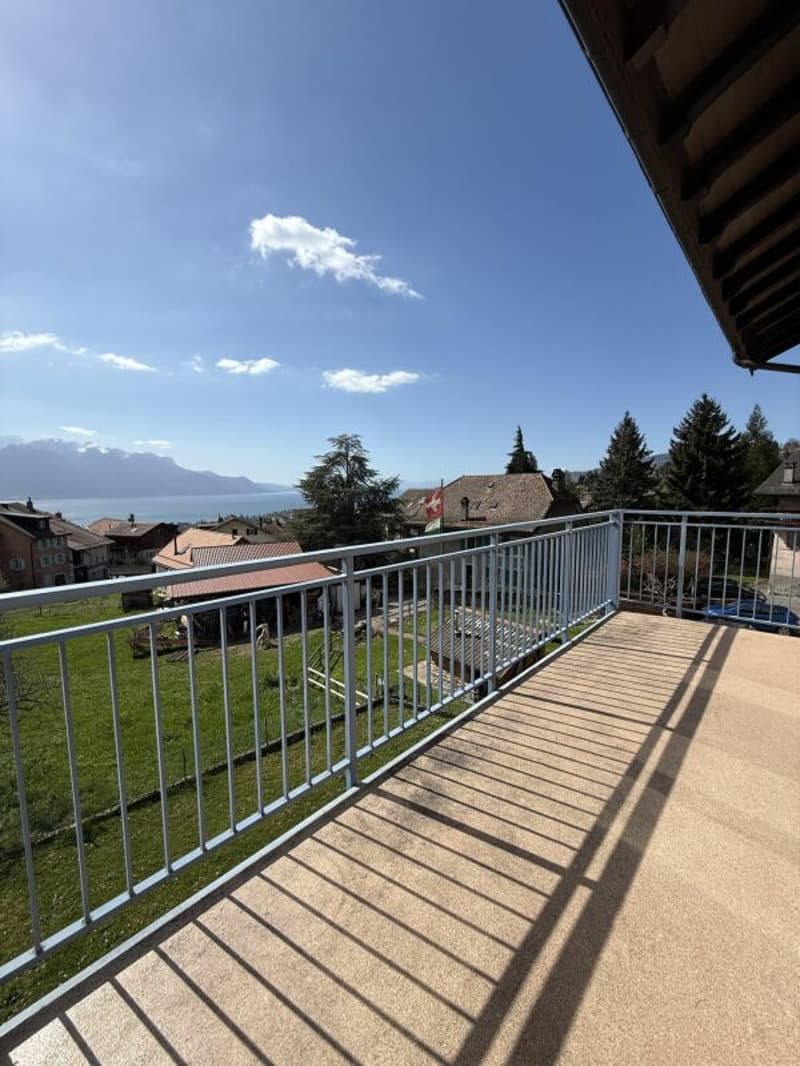 Une opportunité rare qui se présente : Appartement de 4,5 pièces (2)
