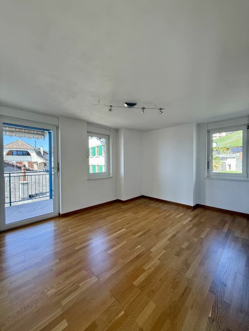 Une opportunité rare qui se présente : Appartement de 4,5 pièces (4)