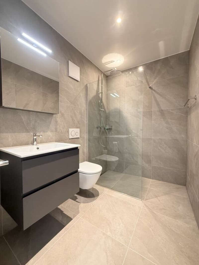 Sublime Appartement de 3,5 pièces (3)