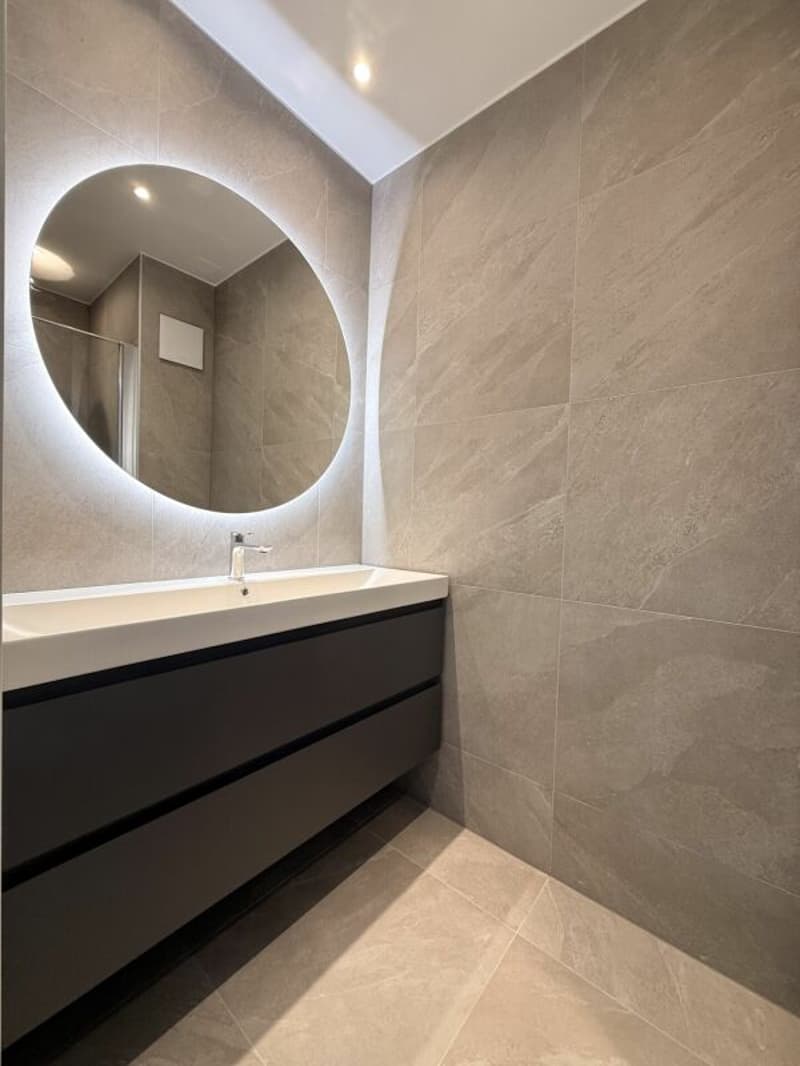 Sublime Appartement de 3,5 pièces (4)