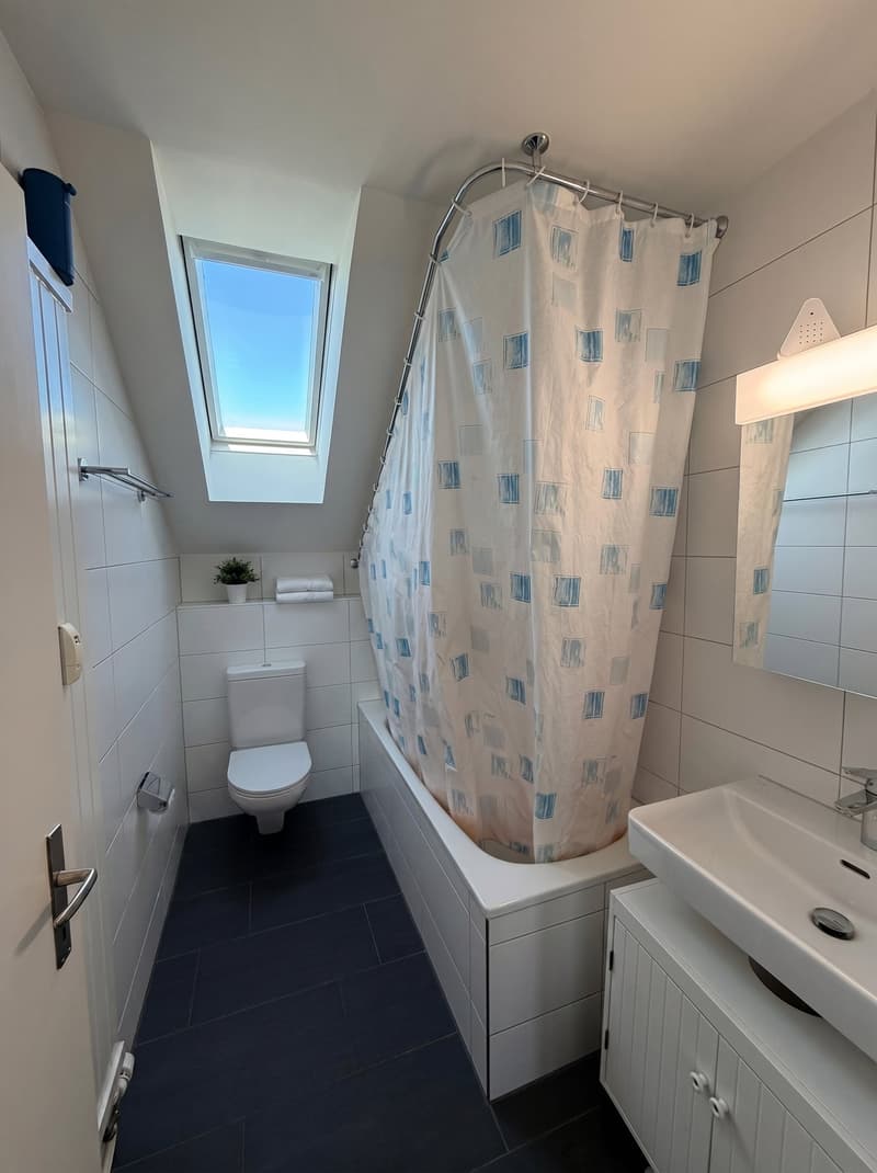 Charmante 3-Zimmer-Dachwohnung an ruhiger Lage in Frenkendorf – ab sofort verfügbar (9)