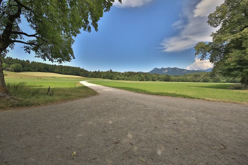 Des promenades à n'en plus finir