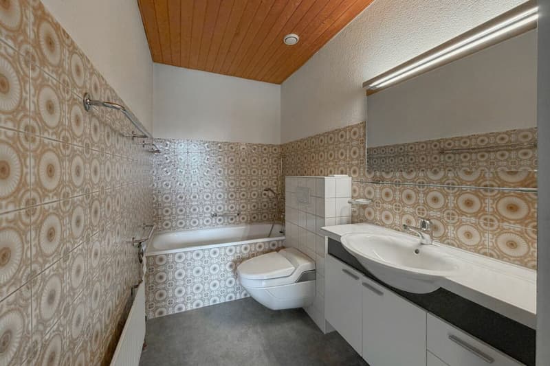 Charakter, Licht und Raum für Neues: Haus mit Natur- und Stadtanschluss (11)