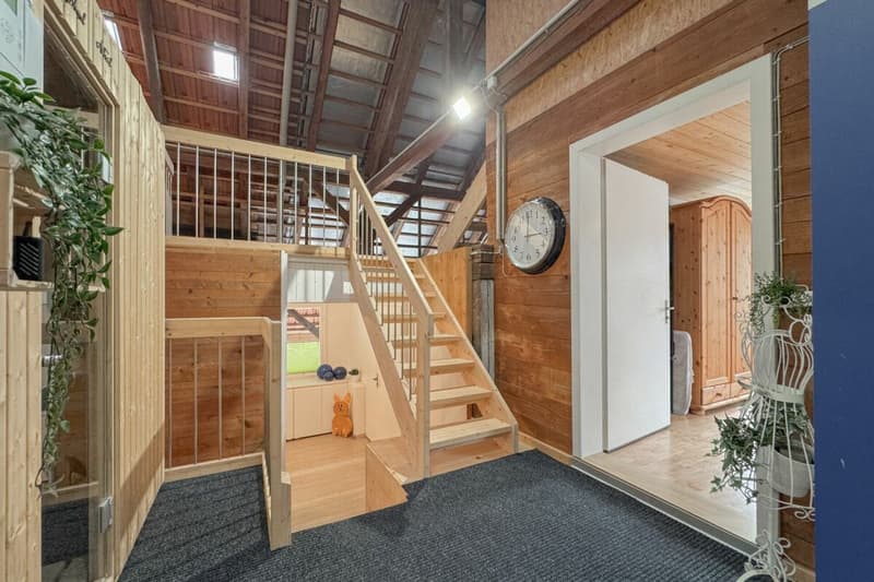 Historisches Berner Bauernhaus mit vier Wohnungen und Gewerbe (13)