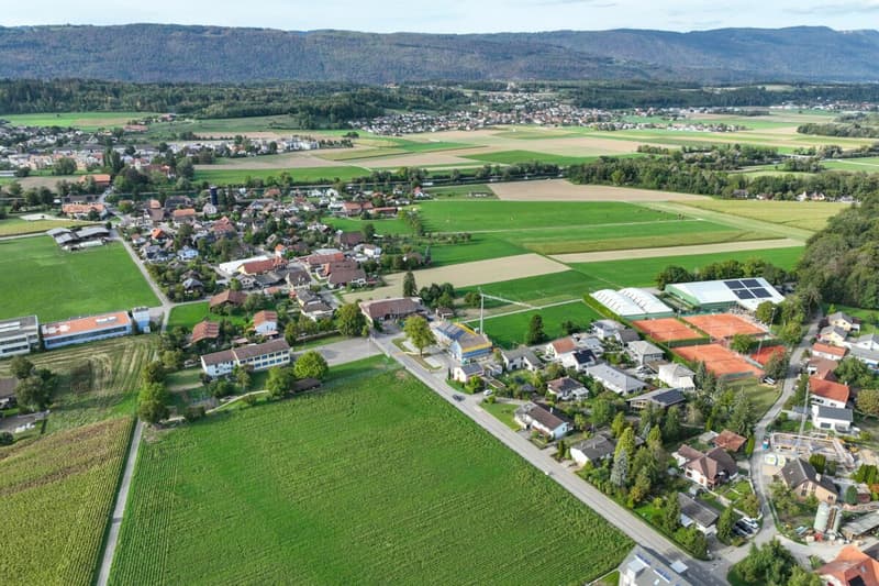 Weite, Sonne, Freiheit: vielseitiges Zuhause mit Studio und grossem Garten (3)