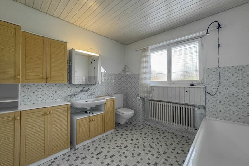 Weite, Sonne, Freiheit: vielseitiges Zuhause mit Studio und grossem Garten (8)