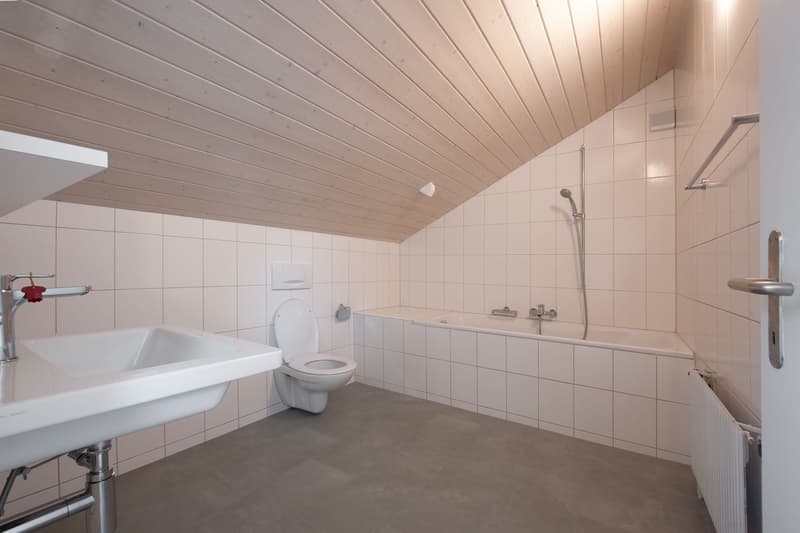 Charmante 2.5-Zimmer-Dachwohnung an der Bachgasse in Uster (9)