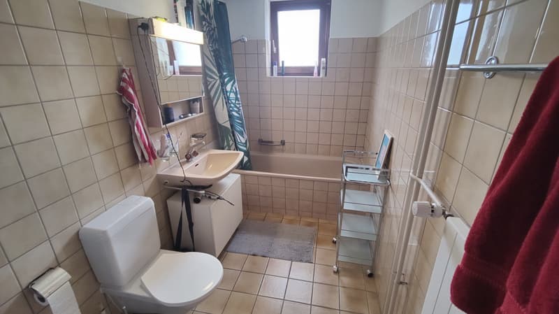 Bad - WC - Waschen