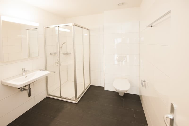 Helle 4.5-Zimmer-Wohnung mit Balkon in Dübendorf (8)