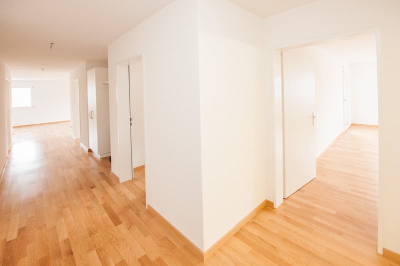 Helle 4.5-Zimmer-Wohnung mit Balkon in Dübendorf (3)
