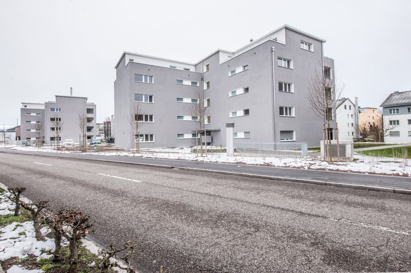 Helle 4.5-Zimmer-Wohnung mit Balkon in Dübendorf (10)