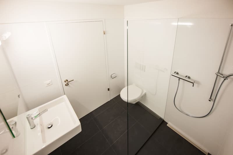 Moderne Wohnung an erhöhter Stadtlage (5)