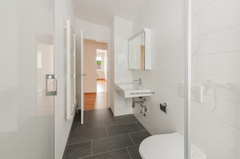 Helle 3-Zimmer-Wohnung mit Balkon in Oberwinterthur (6)