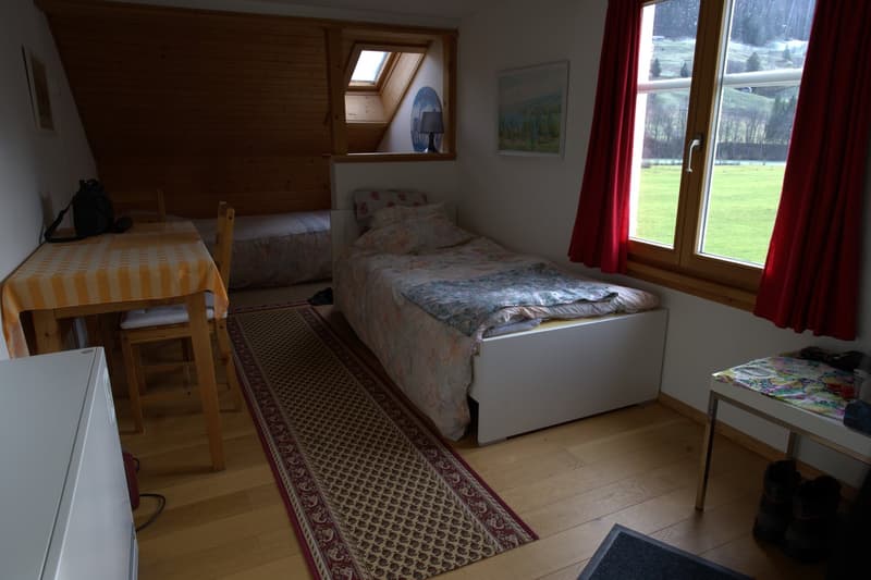 Einfache und preiswerte Wohnung / Ferienwohnung (7)