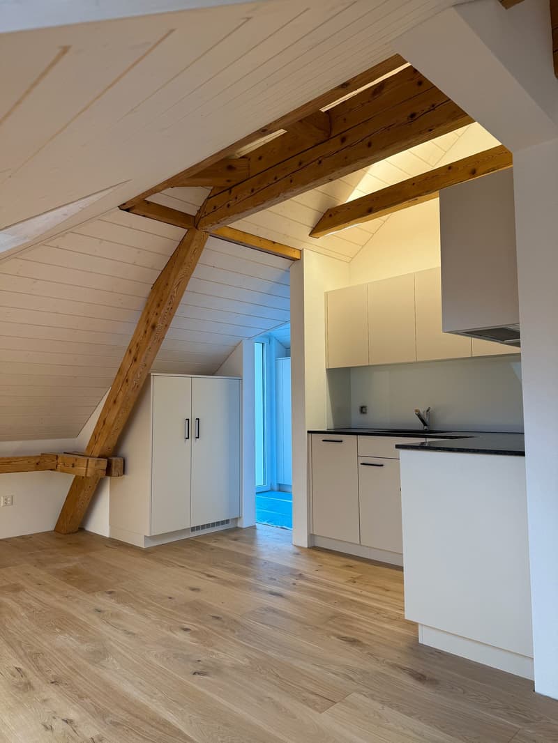 Moderne 3.5-Zimmer-Dachwohnung an ruhiger Lage in Nesslau (9)