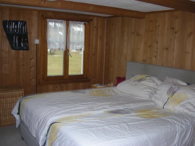 Einfache und preiswerte Dachwohnung / Ferienwohnung (7)