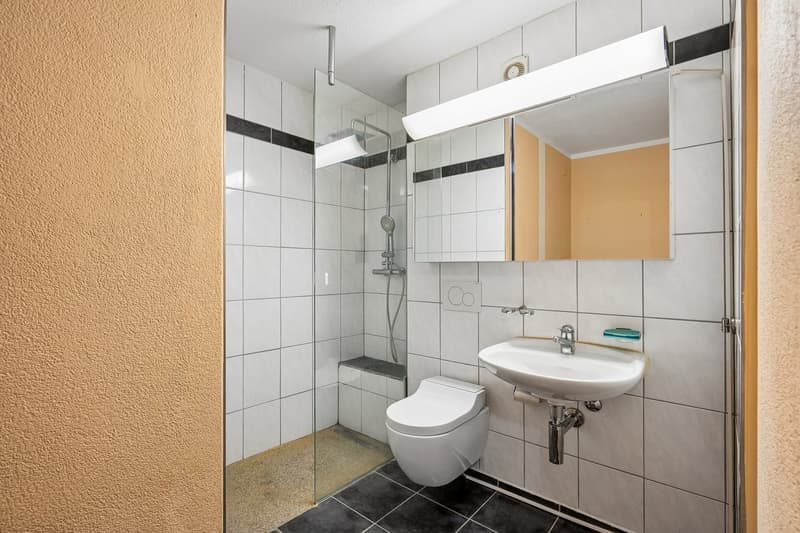Grosszügige 3.5-Zimmer-Wohnung mit sonnigem Sitzplatz in ruhiger Lage in Zürich-Seebach (13)