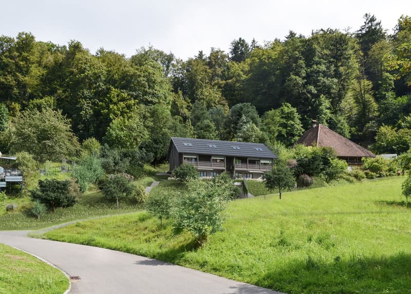 Grosszügiges Bauland mit bewilligtem Neubauprojekt in Leibstadt (2)