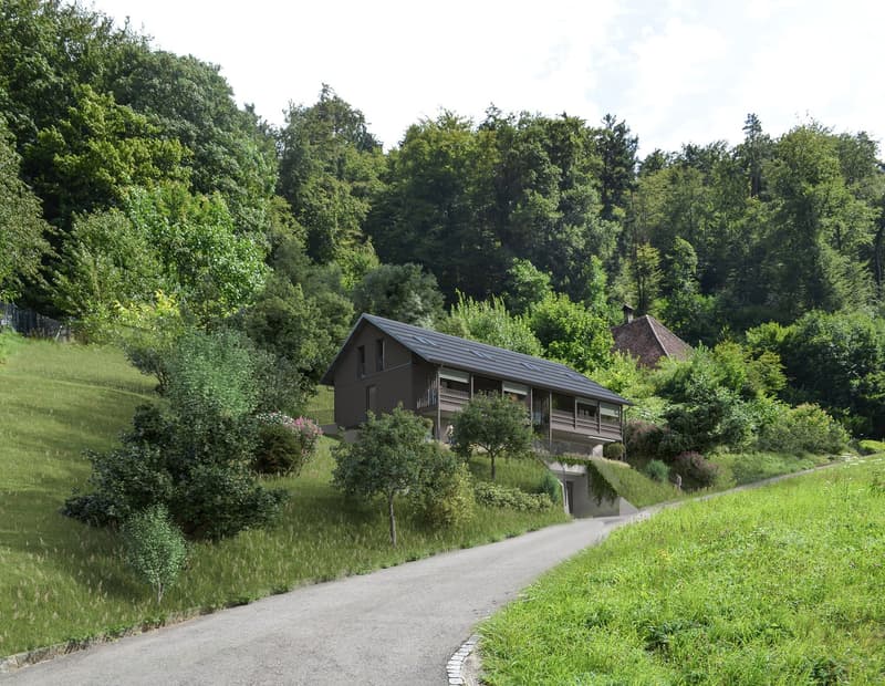 Grosszügiges Bauland mit bewilligtem Neubauprojekt in Leibstadt (4)