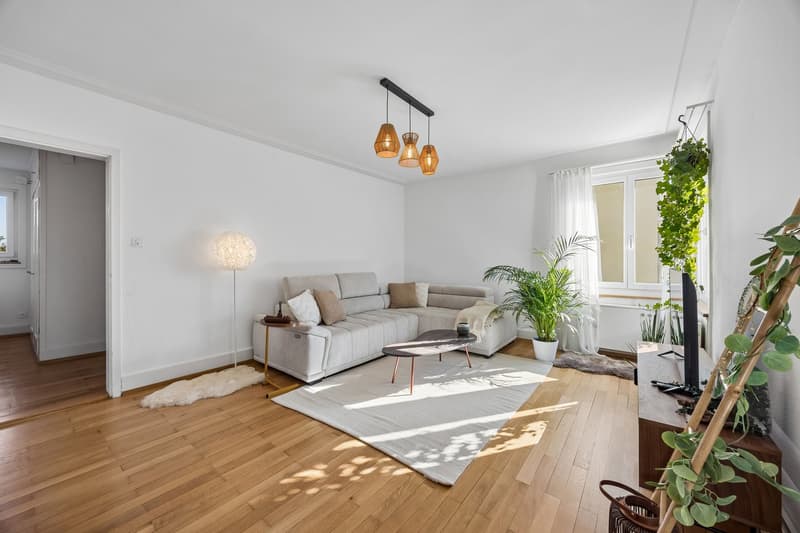 Zweifamilienhaus mit Garten und Ausbaupotenzial in Münchenstein (2)