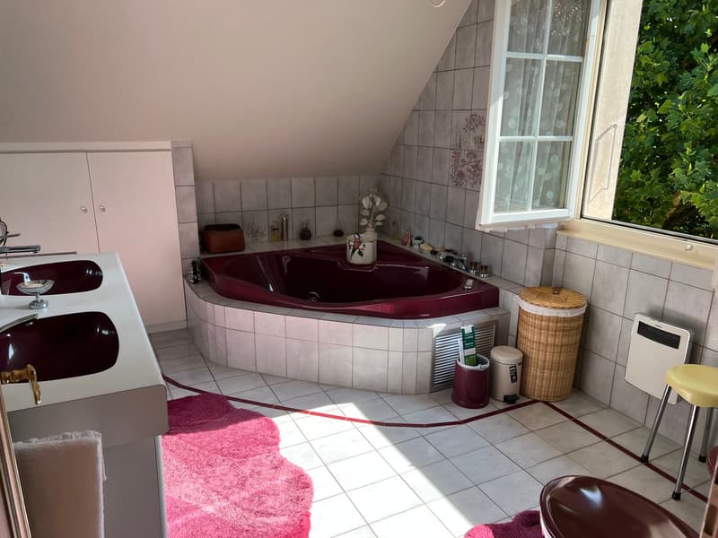 Villa d’exception de 7,5 pièces avec potentiel foncier remarquable (9)