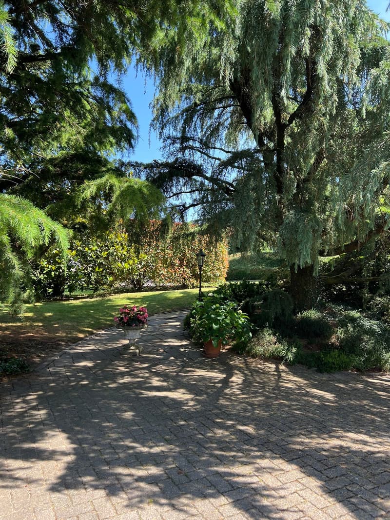 Villa d’exception de 7,5 pièces avec potentiel foncier remarquable (3)