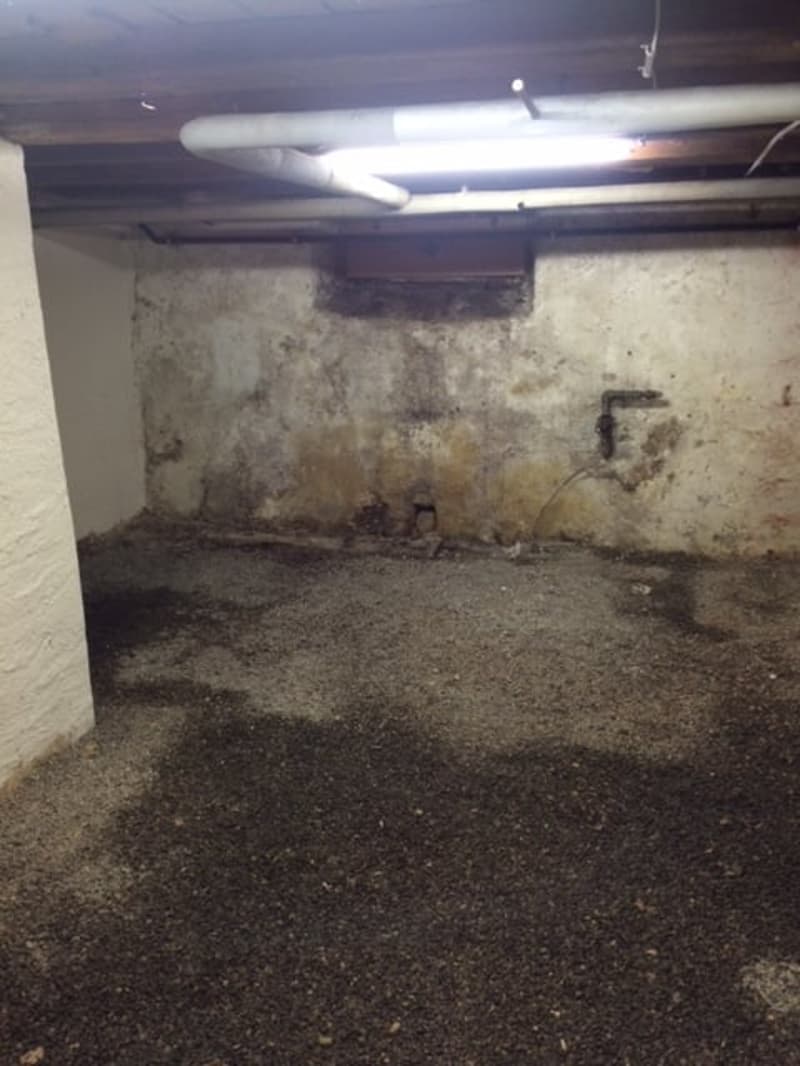 Unfinished basement with concrete floor, exposed pipes and wires, and visible signs of moisture and mold on the walls.