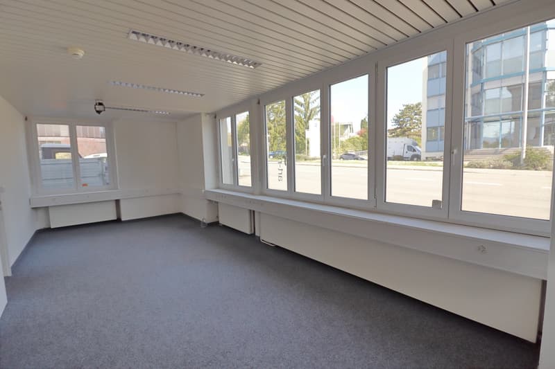 empty room, white walls, gray carpet, large windows, white ceiling, white radiators