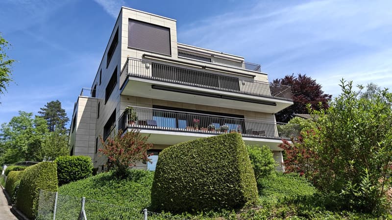 Befristet auf 3 Jahre - Exklusive Maisonette-Wohnung mit traumhafter Seesicht in Zürich-Witikon (1)