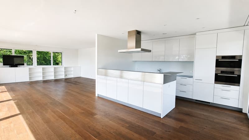 Befristet auf 3 Jahre - Exklusive Maisonette-Wohnung mit traumhafter Seesicht in Zürich-Witikon (5)