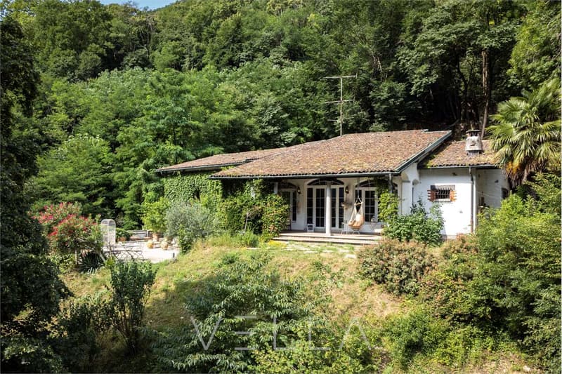 Proprietà immersa nel verde