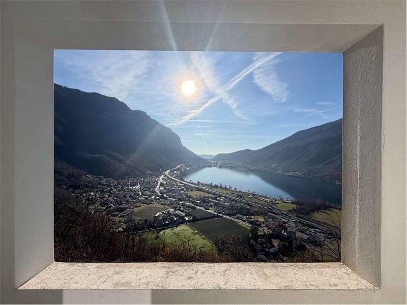 Vista