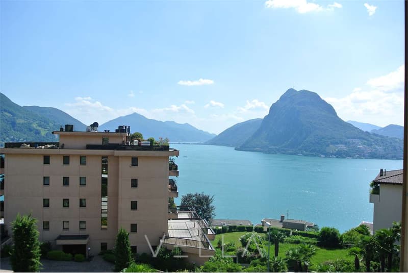Castagnola - 2.5 locali con splendida vista sul Golfo di Lugano (2)