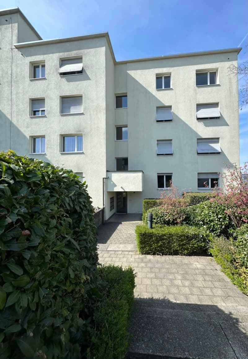 Helle 4.5-Zimmer-Wohnung in Gebenstorf – sofort verfügbar! (1)