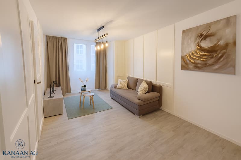 Möblierte, wunderschöne, moderne 2.5-Zimmerwohnung in Schaffhausen! (3)