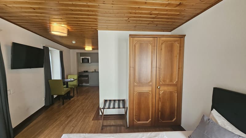 Exklusive, möblierte Wohnung im Herzen von Bremgarten (AG) (6)