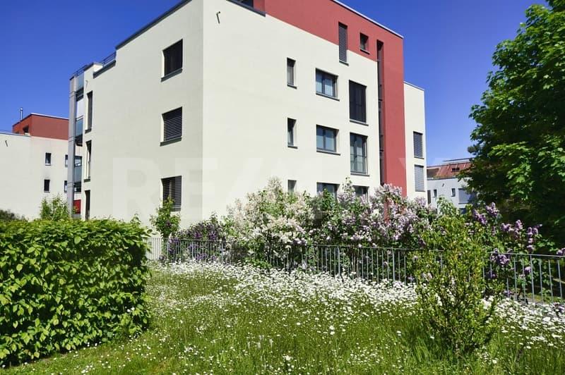 Helle Erdgeschosswohnung mit privatem Garten (2)