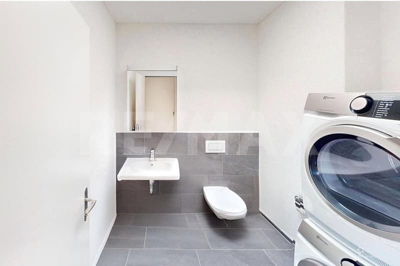 Moderne 2.5-Zimmer-Attika-Wohnung mit grosser Sonnenterrasse und Weitsicht (9)
