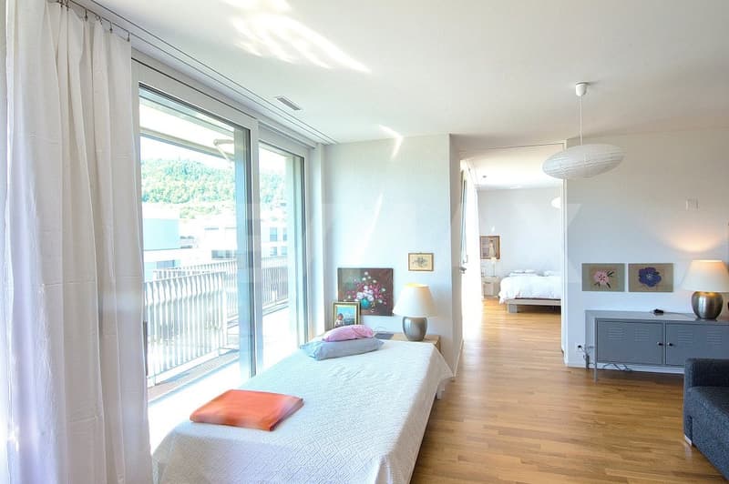 Moderne 2.5-Zimmer-Attika-Wohnung mit grosser Sonnenterrasse und Weitsicht (4)