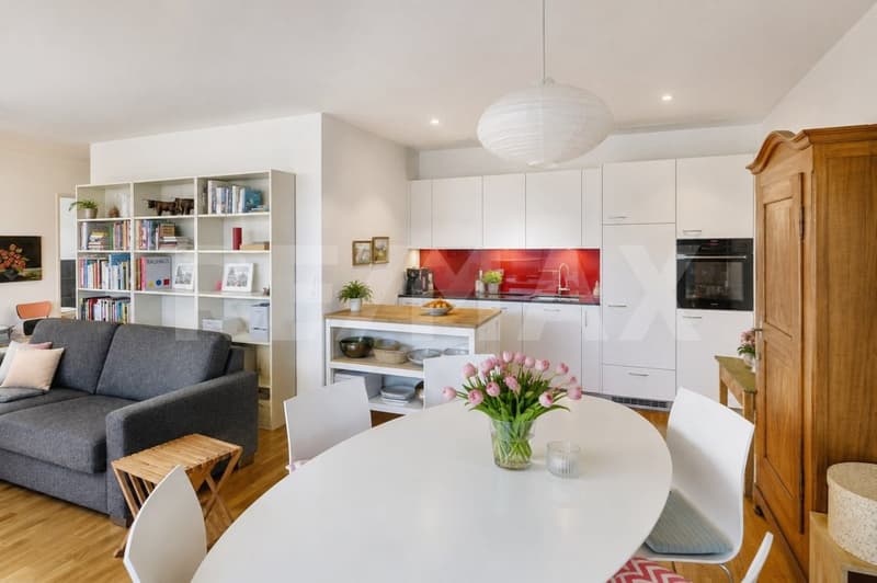 Moderne 2.5-Zimmer-Attika-Wohnung mit grosser Sonnenterrasse und Weitsicht (3)