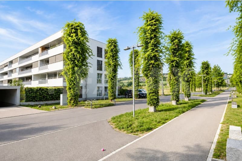 Grosszügig, modern und vermietet 5.5-Zimmer-Eigentumswohnung als Kapitalanlage (11)