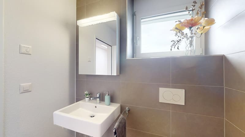 White sink, mirror, soap dispenser, plant, towel rack, tiled wall, electrical switches