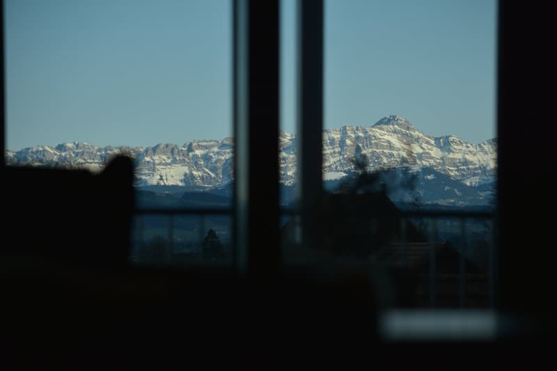 Land-Penthouse mit traumhafter Aussicht trifft auf exklusiven Innenausbau (2)