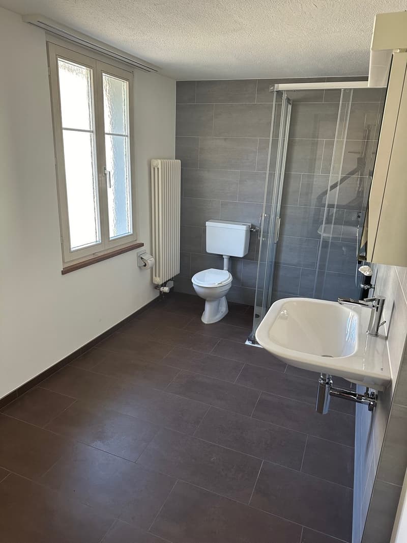 2 Familienhaus im Zentrum, ideal für Handwerker (8)