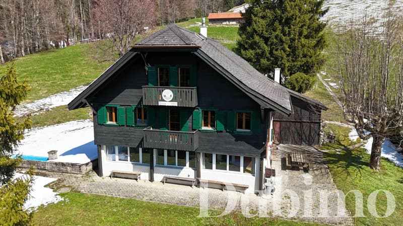 CHALET DE 11 PIÈCES SUR LA RIVIERA (2)