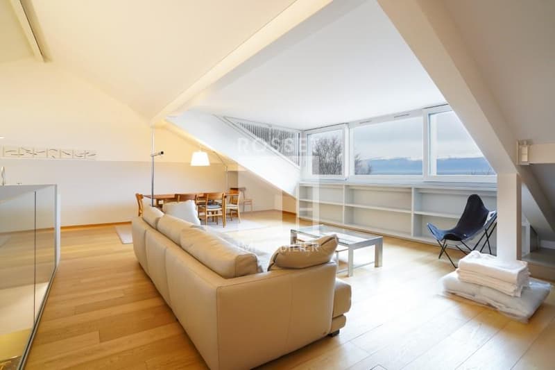 Bel appartement de 5 pièces duplex au 3ème étage (2)