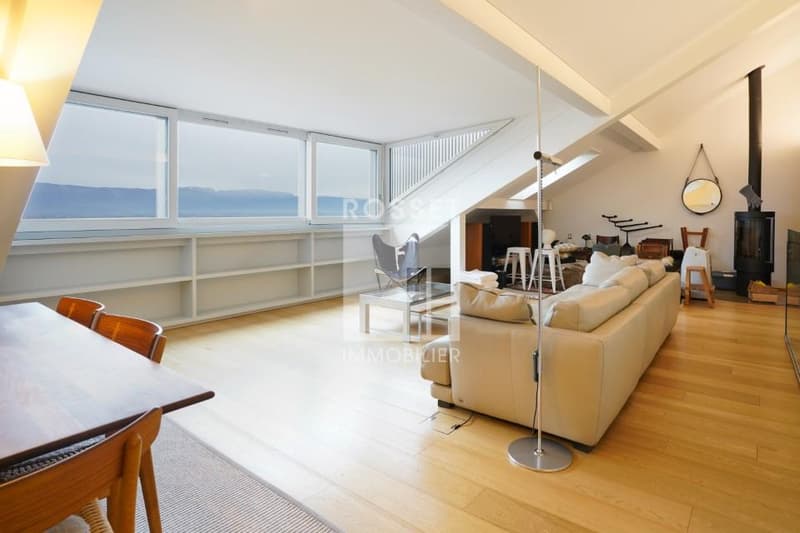 Bel appartement de 5 pièces duplex au 3ème étage (3)